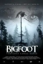 Пленки из Лост Коста (2012) смотреть онлайн