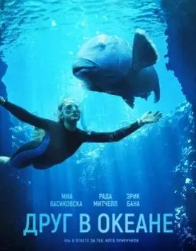 Друг в океане (2022) смотреть онлайн